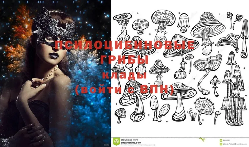 Псилоцибиновые грибы MAGIC MUSHROOMS  Ефремов 