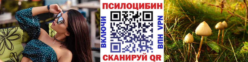 где купить   Ефремов  Галлюциногенные грибы MAGIC MUSHROOMS 
