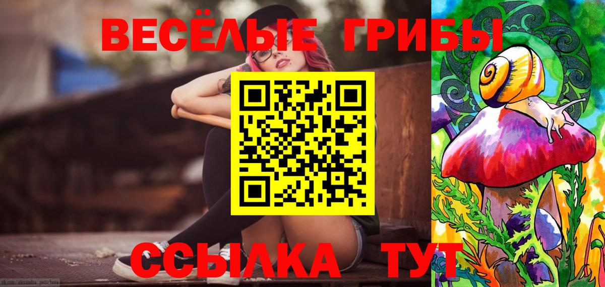 Ефремов  Галлюциногенные грибы ЛСД  Вход с VPN 