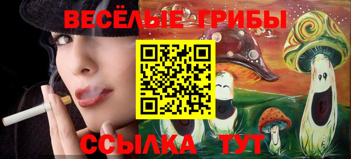 Псилоцибиновые грибы Psilocybe Ефремов
