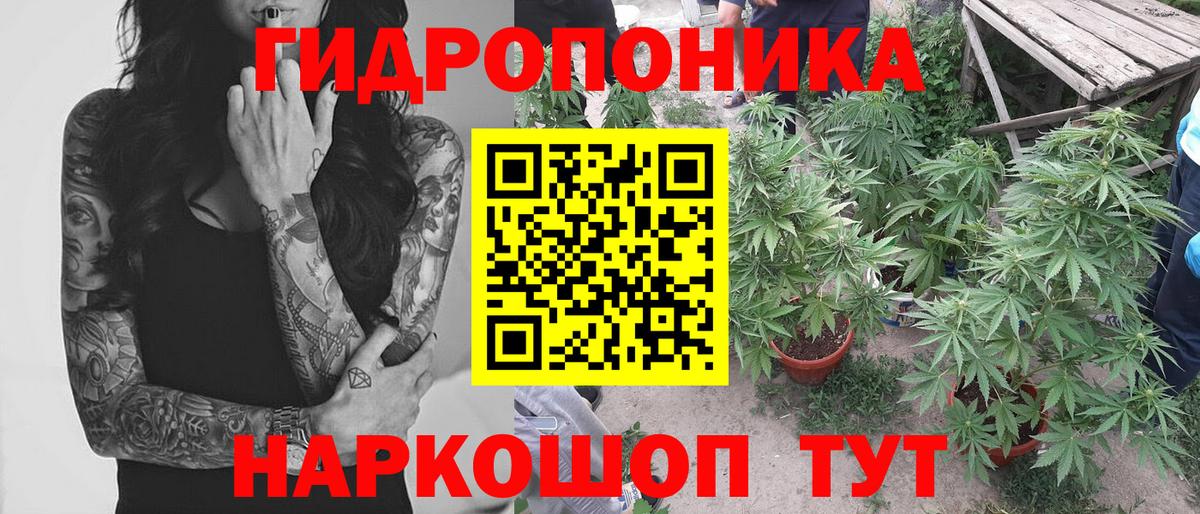 Бошки Шишки MAZAR  Бошки марихуана индика  Шишки марихуана THC 21%  Ефремов 